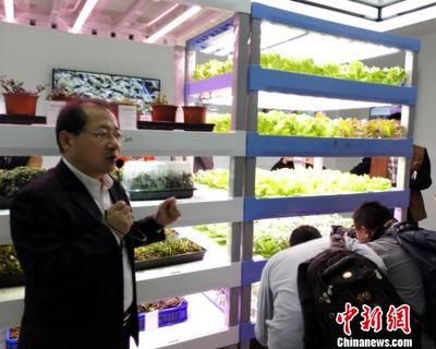 福建光电巨头“跨界”打造植物工厂 从培育星光到滋养青绿